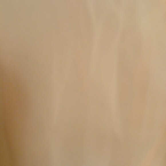 F21 Peach Light Coral Pastel Sheer Chiffon Off Shoulder Button Up Top Blouse L - Picture 11 of 13